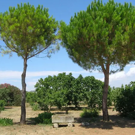 Le Canne *